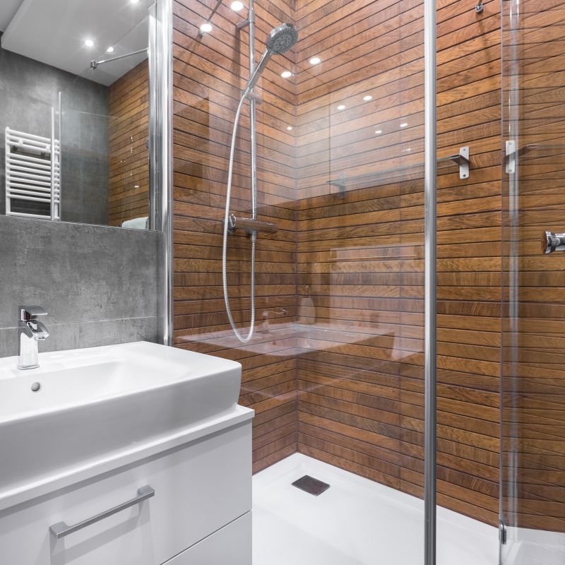 Multi-Function Shower Panels